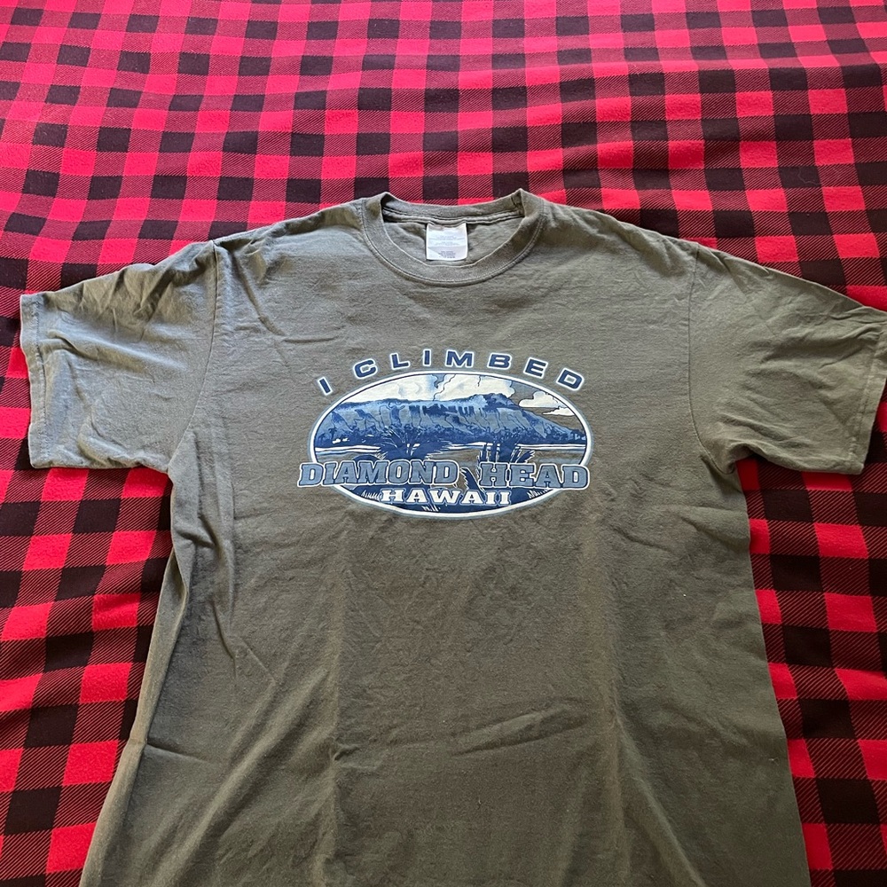 Adult size Medium novelty T-shirt. Gray with blue & white writing